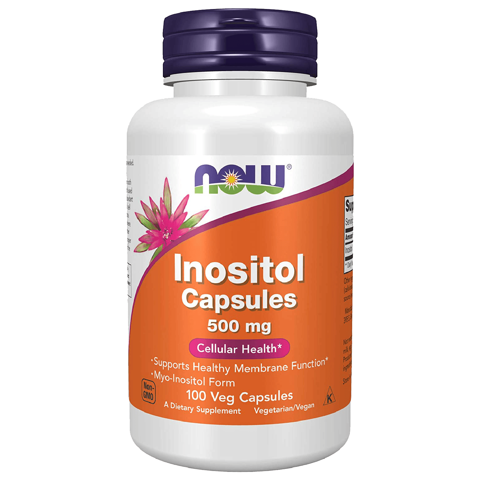 Now_INOSITOL_500mg_100VCAPS_1.png